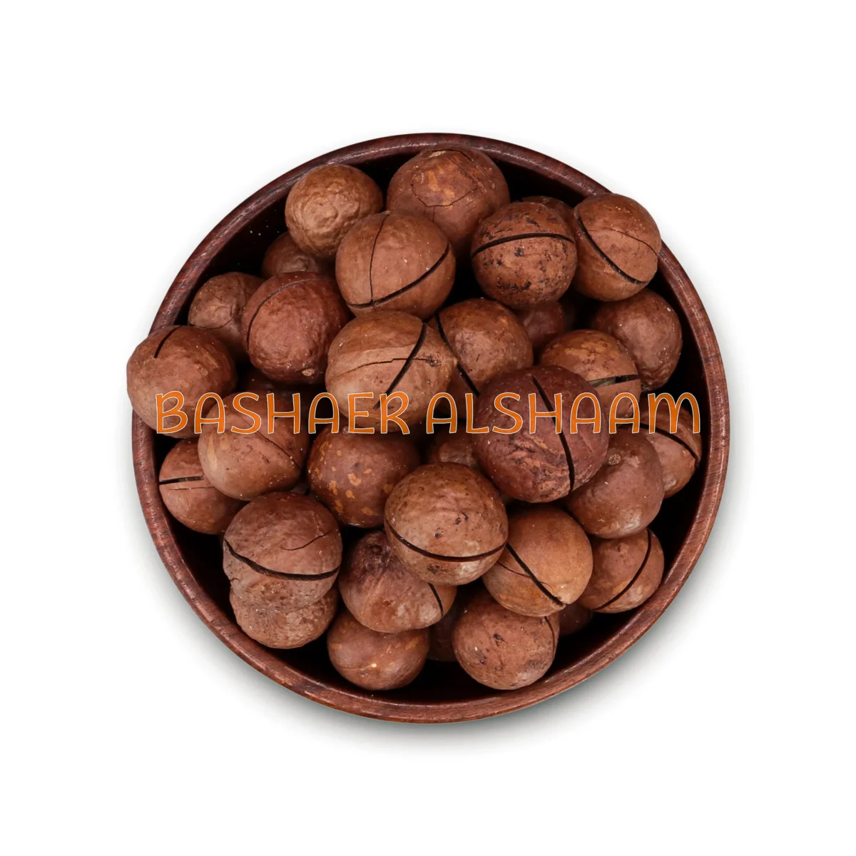 Macadamia